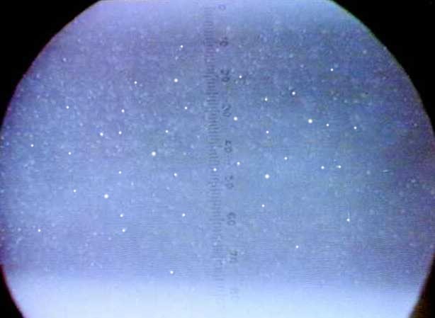 Fig. 16 — Vista delle goccioline attraverso il microscopio.